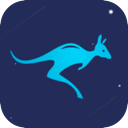 Daishu Mobile VPN, 袋鼠手机翻墙软件