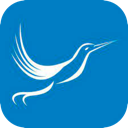 Fengniao Mobile VPN, 蜂鸟应用程序手机翻墙软件